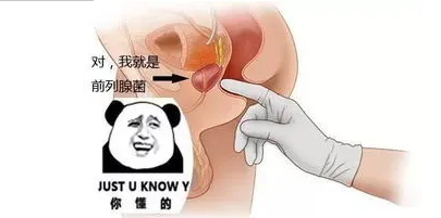 【珠海男科】这个锅前列腺背的怎么样!(图1) 【珠海男科】这个锅前列腺背的怎么样!(图1)